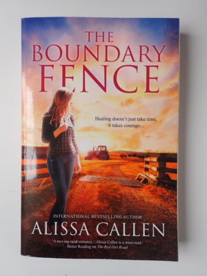 The boundary fence