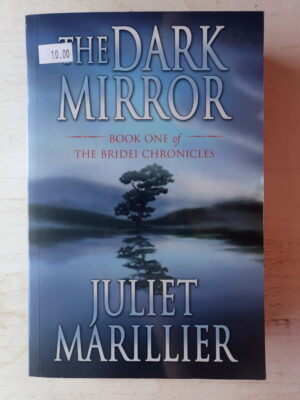 The Dark Mirror