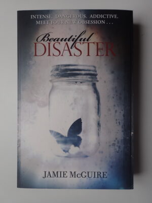 Beautiful Disaster