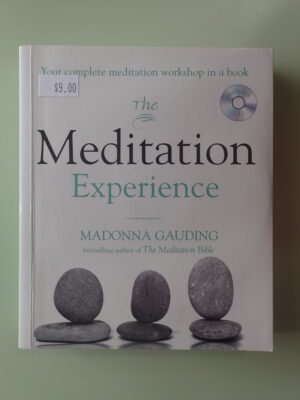 The Meditation Experience