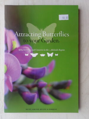 Attracting Butterflies to Your Garden