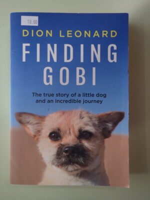 Finding Gobi